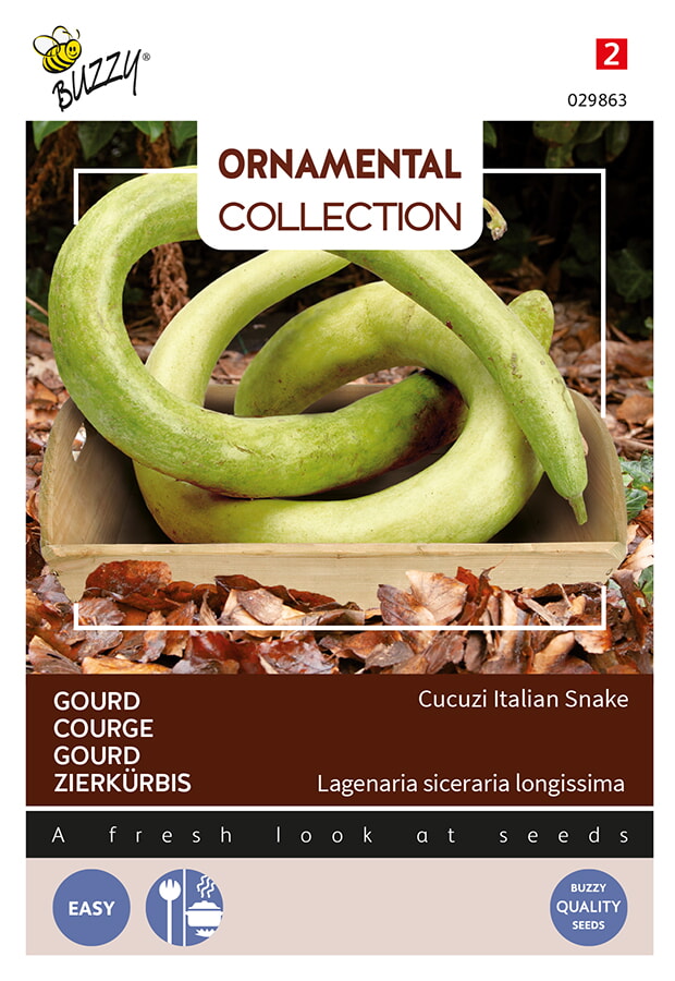 Buzzy Ornamental Gourd Zaden Cucuzzi Italian Snake