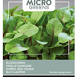 Buzzy Microgreens Bloedzuring Zaden