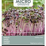Buzzy Microgreens Radijs Zaden Daikon Red