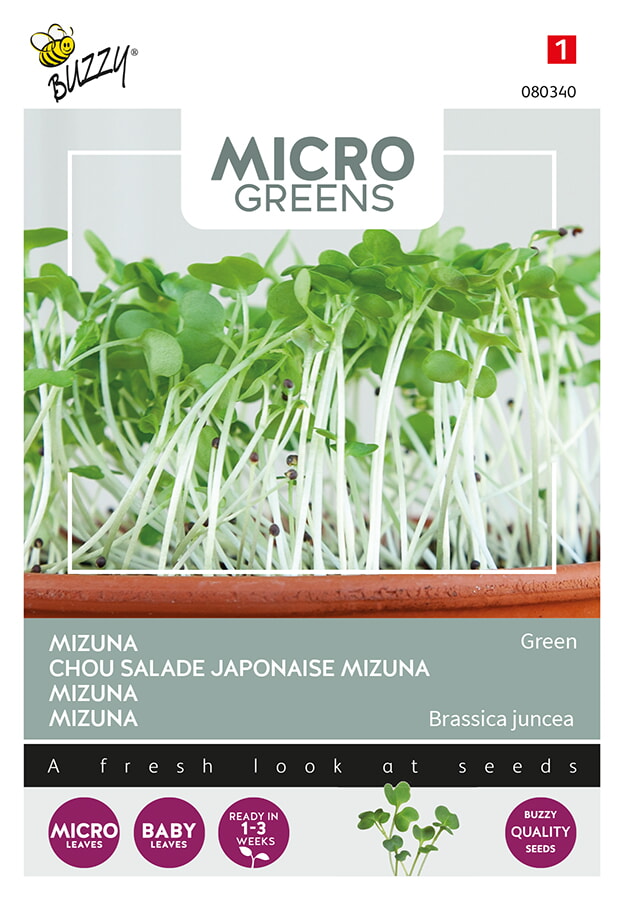 Buzzy Microgreens Mizuna Zaden Green