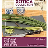 Buzzy Xotica Citroengras Zaden Oost-Indische