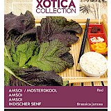 Buzzy Xotica Amsoi Zaden Red