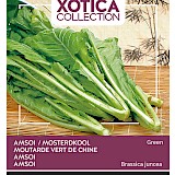Buzzy Xotica Mosterdkool Zaden Green