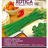 Buzzy Xotica Chinese Knoflook Bieslook Zaden