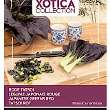 Buzzy Xotica Kankong Zaden