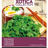 Buzzy Xotica Koriander Zaden