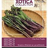 Buzzy Xotica Hon Tsai Tai Zaden Choy Sum Purple