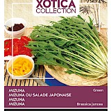 Buzzy Xotica Mizuna Zaden Green
