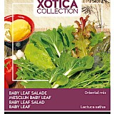 Buzzy Xotica Baby Leaf Salade Zaden Orientel MIx