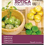 Buzzy Xotica Tomatillo