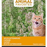 Buzzy Animal Favorites Kattenkruid Zaden Wild