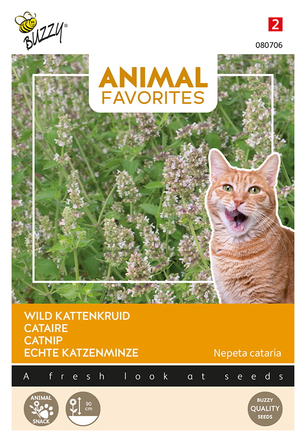 Buzzy Animal Favorites Kattenkruid Zaden Wild