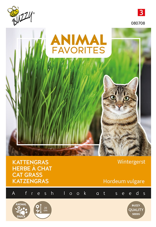 Buzzy Animal Favorites Kattengras Zaden Wintergerst