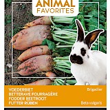 Buzzy Animal Favorites Voederbiet Zaden Brigadier