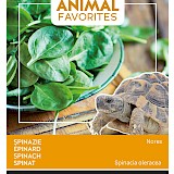 Buzzy Animal Favorites Spinazie Zaden Nores