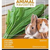 Buzzy Animal Favorites Cichorei Zaden Spadona