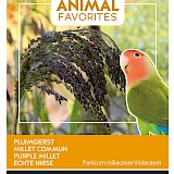 Buzzy Animal Favorites Pluimgierst Zaden