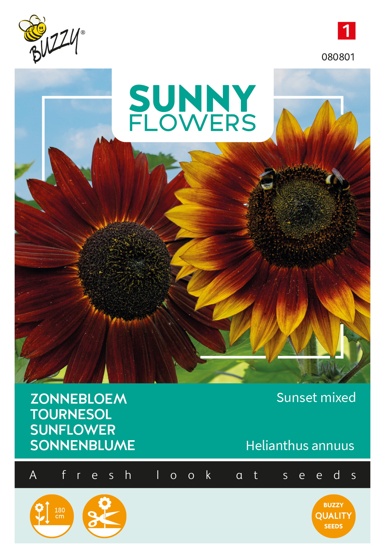 Buzzy Zonnebloem Zaden Sunset Mixed