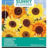 Buzzy Zonnebloem Zaden Fantasy Helianthus annuus