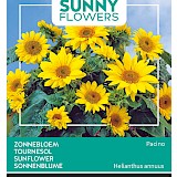 Buzzy Zonnebloem Zaden Pacino Helianthus annuus