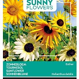 Buzzy Zonnebloem Zaden Esther Helianthus debilis