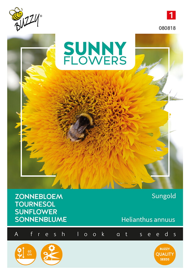 Buzzy Zonnebloem Zaden Sungold Helianthus annuus