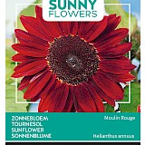 Buzzy Zonnebloem Zaden Moulin Rouge Helianthus annuus