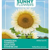 Buzzy Zonnebloem Zaden White Sun F1 Helianthus annuus
