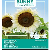 Buzzy Zonnebloem Zaden White Moon F1