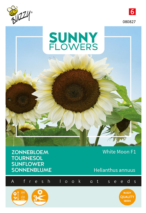Buzzy Zonnebloem Zaden White Moon F1