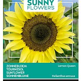 Buzzy Zonnebloem Zaden Lemon Queen