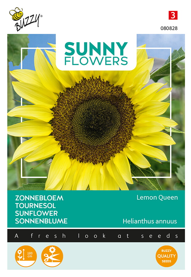 Buzzy Zonnebloem Zaden Lemon Queen