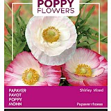 Buzzy Poppy Flowers Papaver Zaden Shirley Mixed