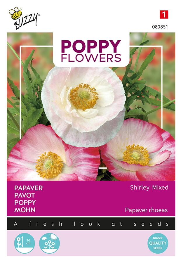 Buzzy Poppy Flowers Papaver Zaden Shirley Mixed