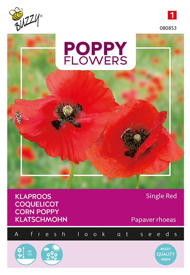 Buzzy Poppy Flowers Klaproos Zaden Single Red