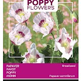 Buzzy Poppy Flowers Papaver Zaden Breadseed
