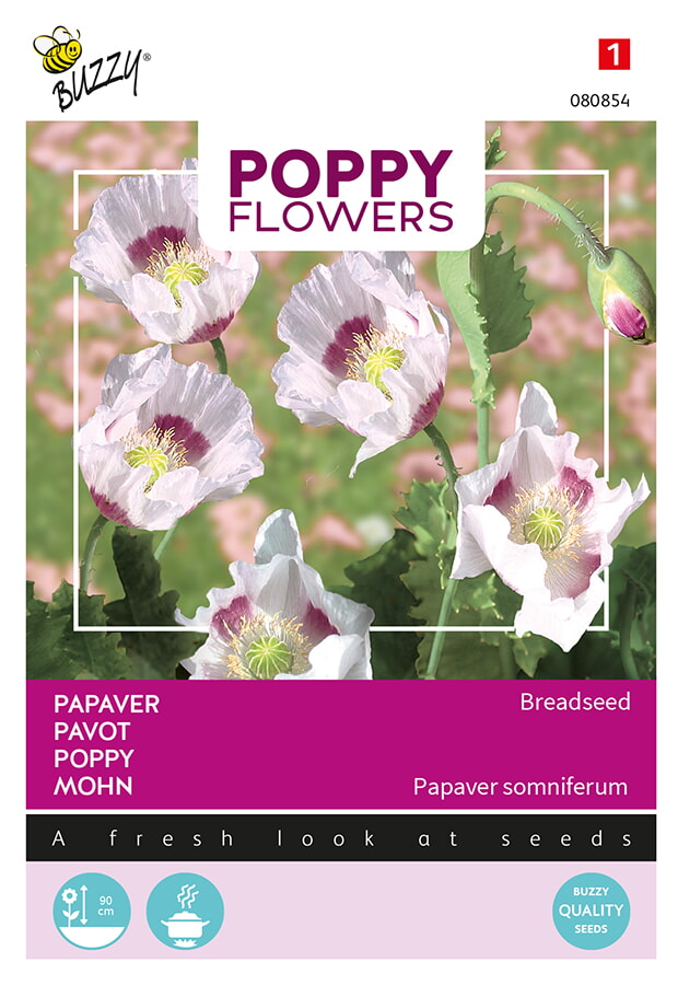 Buzzy Poppy Flowers Papaver Zaden Breadseed
