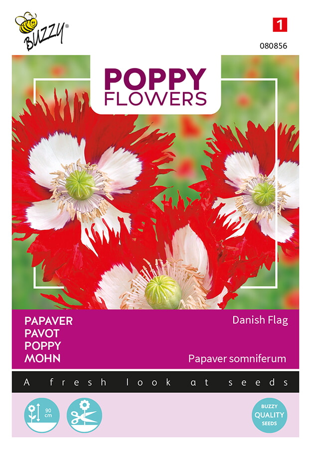Buzzy Poppy Flowers Papaver Zaden Danis Flag