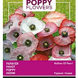 Buzzy Poppy Flowers Papaver Zaden Mother of Pearl