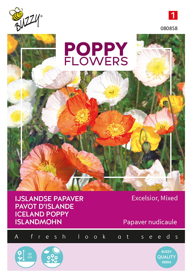 Buzzy Poppy Flowers IJslandse Papaver Zaden Excelsior Mixed