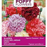 Buzzy Poppy Flowers Slaapbol Zaden Pioenbloemige Papaver