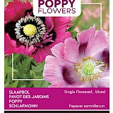 Buzzy Poppy Flowers Slaapbol Zaden Single Flowered Mixed