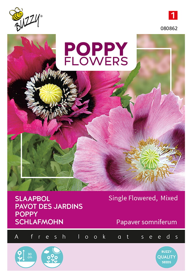 Buzzy Poppy Flowers Slaapbol Zaden Single Flowered Mixed