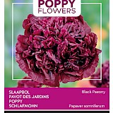 Buzzy Poppy Flowers Slaapbol Zaden Black Paeony