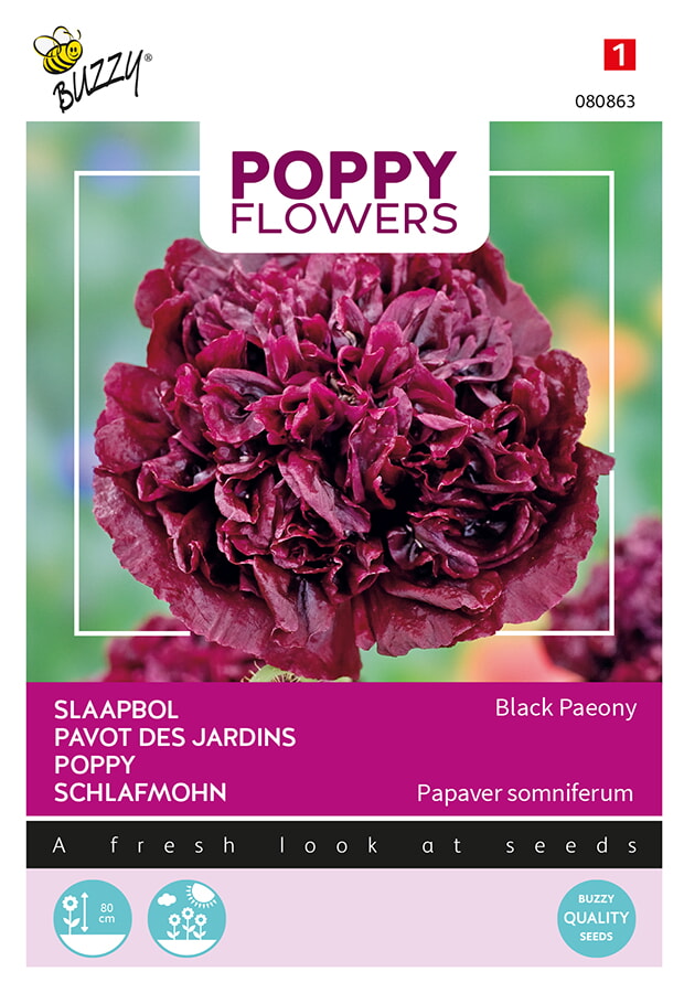 Buzzy Poppy Flowers Slaapbol Zaden Black Paeony