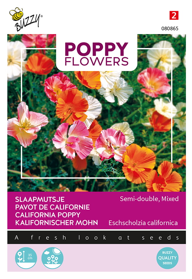 Buzzy Poppy Flowers Slaapmutsje Zaden Semi Double Mixed