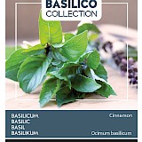 Buzzy Kaneel Basilicum Zaden