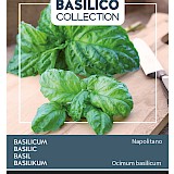 Buzzy Basilicum Zaden Napolitano