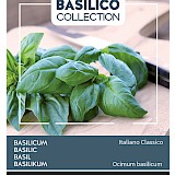 Buzzy Basilicum Zaden Italiano Classico
