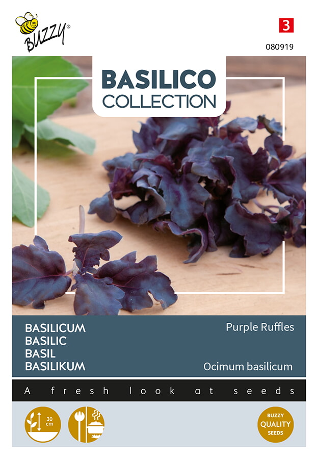 Buzzy Basilicum Zaden Purple Ruffles